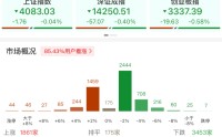 大金融走强， CPO调整