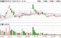 ST预警：达华智能瞒报7.95亿合同进展 、虚增利润8576万元被罚 3月2日停牌一天