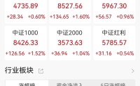 A股收评：深证成指、创业板指涨超1.2%，小金属、锂矿概念走高