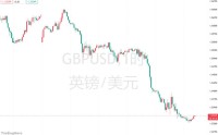 英国政坛“黑马”吓坏市场？对冲基金重仓做空英镑，看跌期权成交量暴增