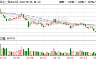 中华企业5月25日大宗交易成交469.05万元