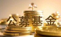 公募集体发声：彰显专业价值，让科创企业与耐心资本“双向奔赴”