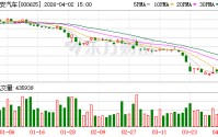新能源时代 长安为何还要深耕混动领域？