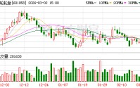 赛轮轮胎：公司已于2017年建立财务共享中心