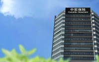 中宏保险的“而立之困”：人事架构大调整，司法案件日益激增