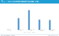 地平线霸榜的市场，跑出了一匹黑马——爱芯元智在短短数年内跻身国产基础ADASSoC出货量前列