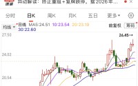603121，开盘跌停！机构盯上28只业绩高增长股，市盈率最低不到11倍