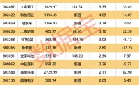 社保基金重仓股出炉！这4股重仓超10亿元，新进扫货11股