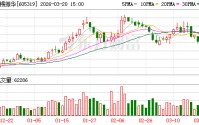 无锡振华大宗交易成交400.00万股 成交额9500.00万元
