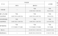 冀凯股份业绩预告“变脸”：总额法改净额法藏猫腻 投资者索赔窗口已开启