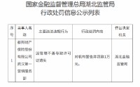 都邦财险武汉第一营销服务部被罚1万元：因管理不善导致许可证遗失