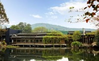 绿茶集团2025年业绩双高增领跑市场 供应链深耕、运营提效与持续研发创新共筑宽阔护城河