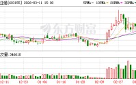 新亚强振幅15.46%，沪股通净买入1294.10万元