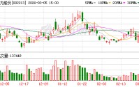 大为股份：公司不存在逾期担保