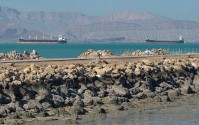 伊朗公布霍尔木兹海峡安全航路图