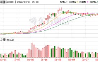 金海通3月11日龙虎榜数据