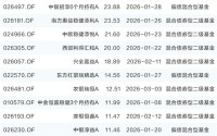 “固收+”基金规模快速扩张 个人投资者成申购新晋主力