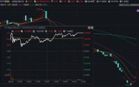20%三连板！688287，停牌核查！退市风险高悬
