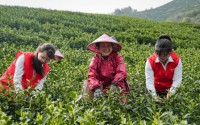 一针一线编织“兴农”锦绣――浙江稠州商业银行躬耕乡村赋能共富纪实
