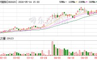*ST瑞和签订重整投资协议 槟城电子将成控股股东