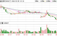 华谊兄弟：公司没有参与投资春节档电影