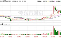 颀中科技：1月份公司未回购股份