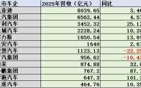 乘用车上市公司2025年业绩：增量不增利，净利润总额低于宁德时代