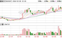 润建股份：截至目前，公司及子公司对外担保总余额为31500.42万元