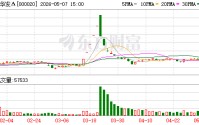 深华发A：涉及仲裁及财产保全 涉案金额约22亿元