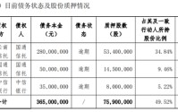 控股股东债务爆雷，良品铺子一年亏掉逾一亿，高端零食第一股何去何从？