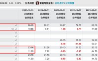 华夏基金2025年业绩创新高：营收96亿元同比增长20%，净利24亿元同比增长11%