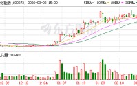嘉化能源：公司通过集中竞价交易方式回购股份数量为45107600股