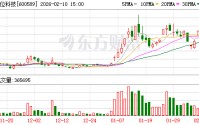 两连板大位科技：公司张北数据中心项目不涉及算力租赁业务