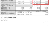停牌前大涨！300992，拟易主