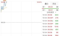 2000亿市值巨头盐湖股份，冲涨停