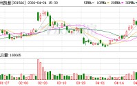 达利凯普：2026年第一季度归属于上市公司股东的净利润同比增长4.75%
