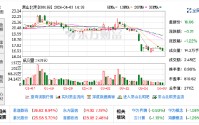 常山北明回应2025年收入下滑：剥离纺织业务对营收有影响 后续会加大新业务拓展力度