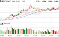 永鼎股份：公司已构建起完整的“光棒—光纤—光缆”垂直产业链