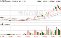 600481，昨天涨停，今天跌停！春节前最后一个交易日，A股两大板块逆势拉升！