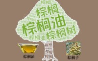 棕榈油出口掉头，是备货还没开始，还是需求真不行了？