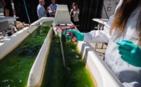 埃克森科学家曾对藻类生物燃料存疑 但这家石油巨头仍大肆宣传