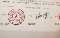 退休工人当上“市场合伙人”？有老人投入千万！盈科律所掌门人梅向荣自首背后的家族生意