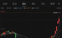 合肥，又火了！002208，一字涨停，已“5天4板”