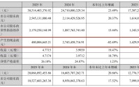安克创新年营收首破300亿，存货压身致现金流骤降82.49%