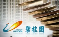 杨惠妍被罚、董事会力挺！碧桂园千亿债务危机解除了吗？