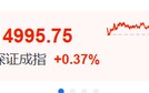 沸腾！半导体，彻底爆了！原因找到