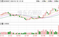 歌力思：公司存货控制总体比较良性