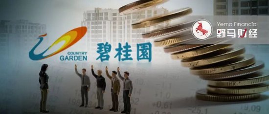 杨惠妍被罚、董事会力挺！碧桂园千亿债务危机解除了吗？