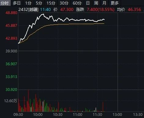 港股AI应用、存储芯片股，集体爆发！