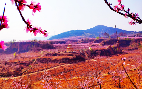 【申万宏源研究春节见闻】山东肥城:君子之邑山水秀,宜居宜商迎客来